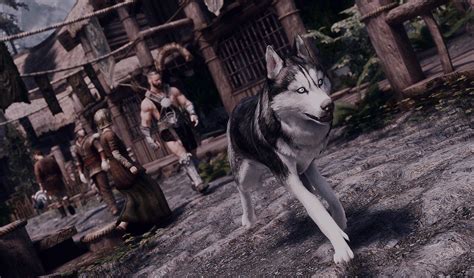 dog mod skyrim|skyrim dog replacer mod.